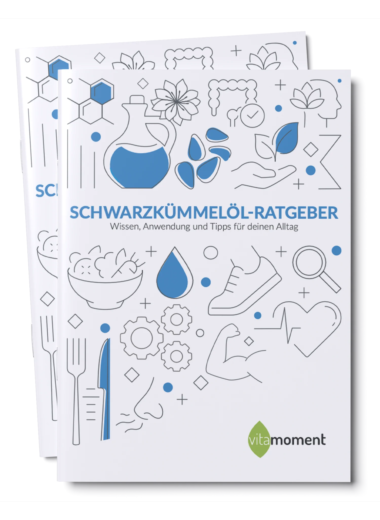Vorschaubild 1
